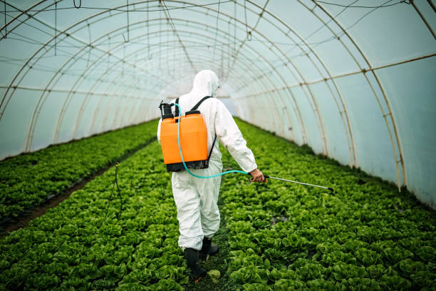 Best Mosquito Control Services  in Shinnecock Hills, NY